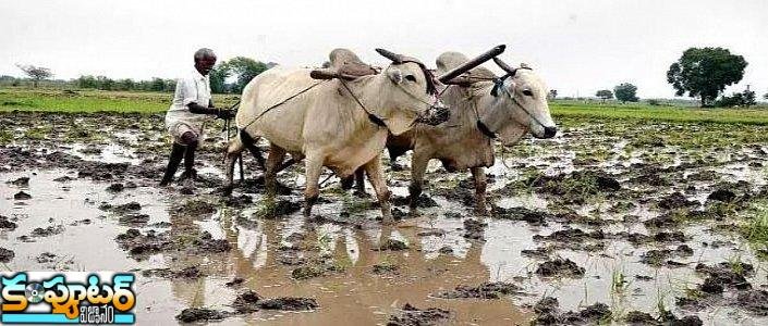 రైతుబంధు డబ్బులు వచ్చాయి, ఎలా పొందాలో పూర్తి సమాచారం మీకోసం