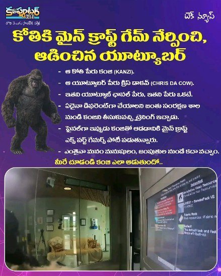 కోతిని మైన్ క్రాఫ్ట్ గేమ్ లో ఎక్స్ పర్ట్ ని చేసిన యూట్యూబర్